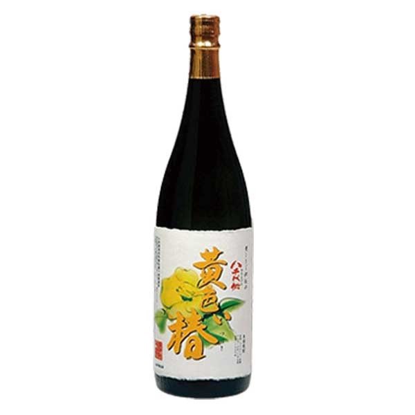 黄色い椿　（春限定）　1800ml　1.8L